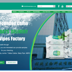 mingou湿纸巾外贸独立站