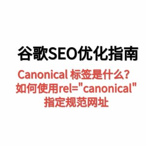 天问网络-Canonical 标签是什么？如何使用rel=canonical指定规范网址