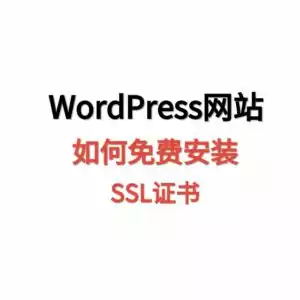 天问网络-WordPress如何按照免费的ssl证书