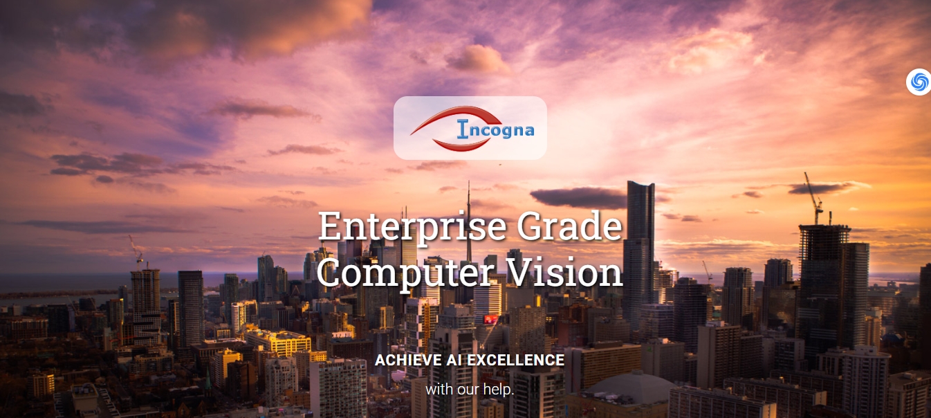 21个最好用的以图搜图的图片搜索引擎网站推荐 天问网络-b2b平台-Incogna 网页界面