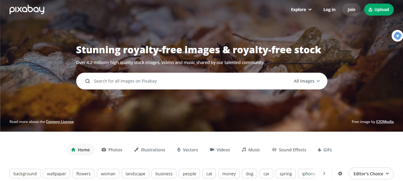 21个最好用的以图搜图的图片搜索引擎网站推荐 天问网络-b2b平台-Pixabay 网页界面