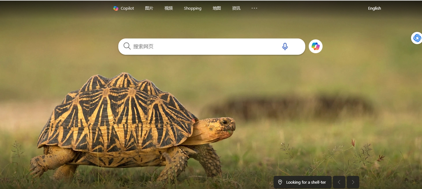 天问网络-b2b平台-bing 网页界面
