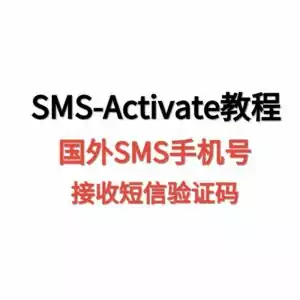 天问网络-SMS-Activate教程：使用国外SMS手机号接收短信验证码