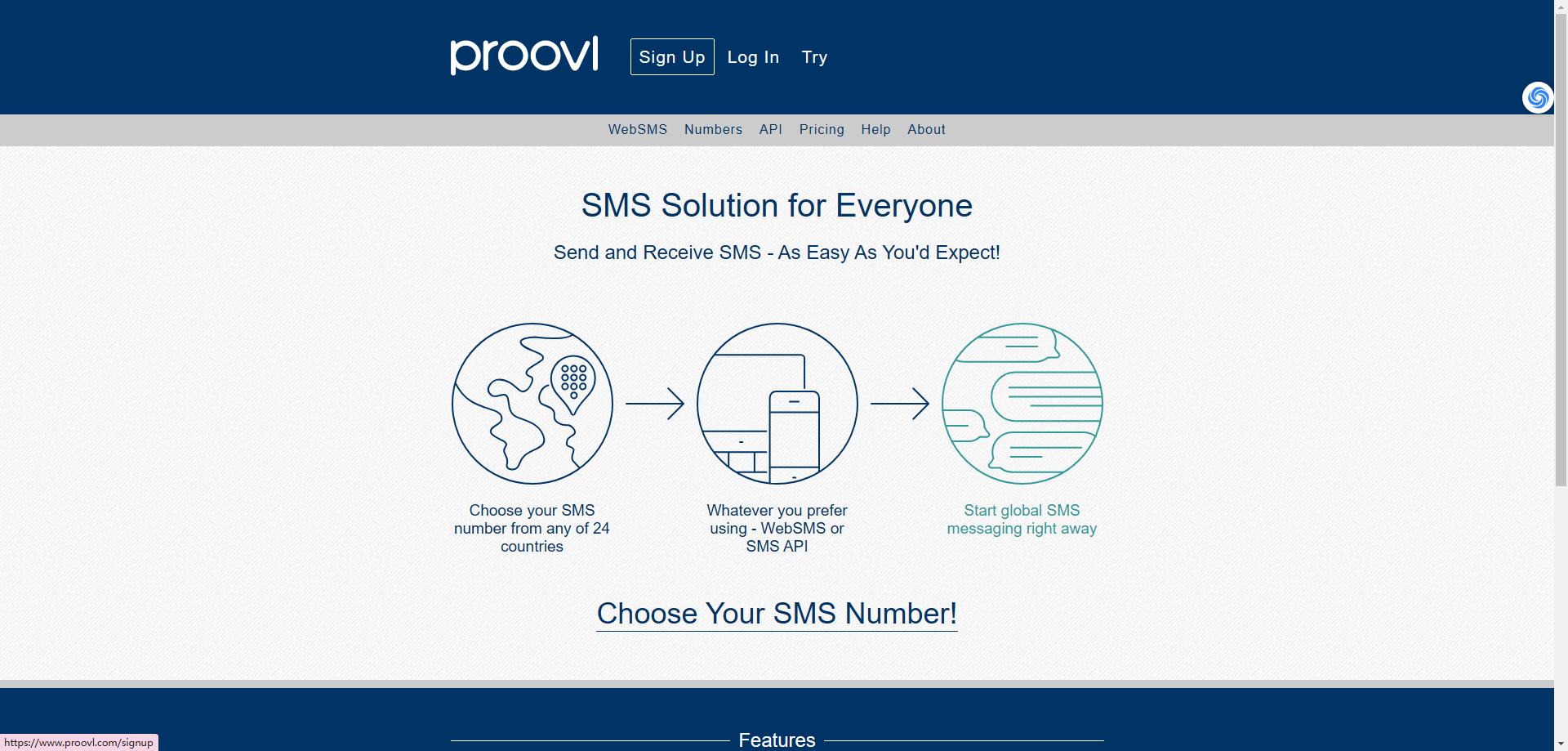 天问网络-国外手机号接收验证码平台推荐Proovl界面