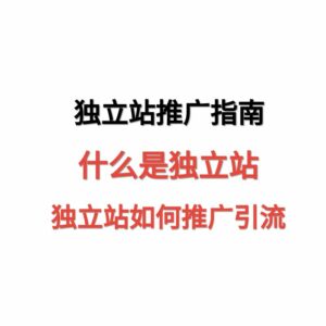 天问网络-独立站推广指南封面