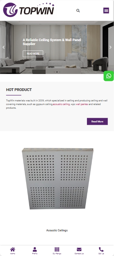 Topwin Materials建材外贸独立站