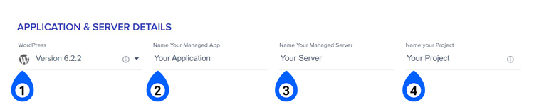 WordPress最快服务器:Cloudways注册教程新手指南 WordPress最快服务器:Cloudways注册教程新手指南