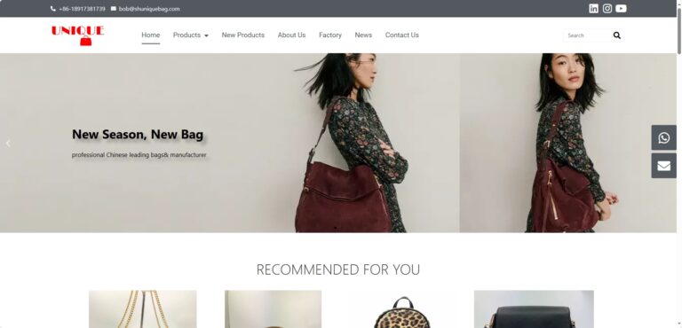 Shuniquebag手袋与配饰外贸独立站