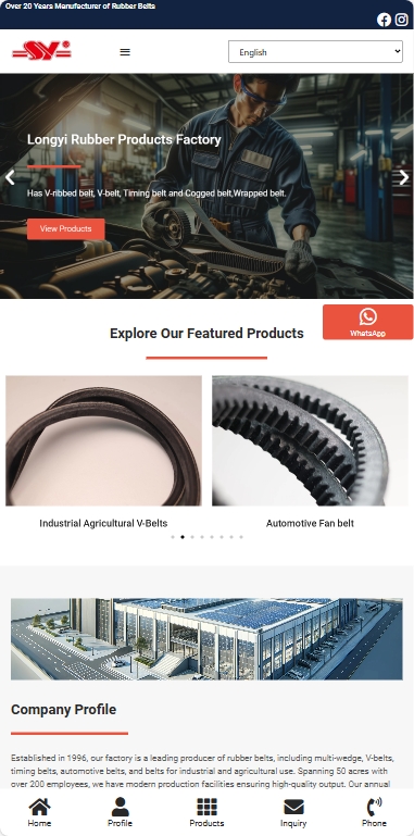 LY Belt输送带及设备外贸独立站