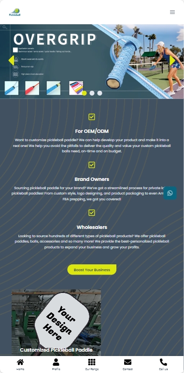 CN Pickleball Paddle体育器材外贸独立站