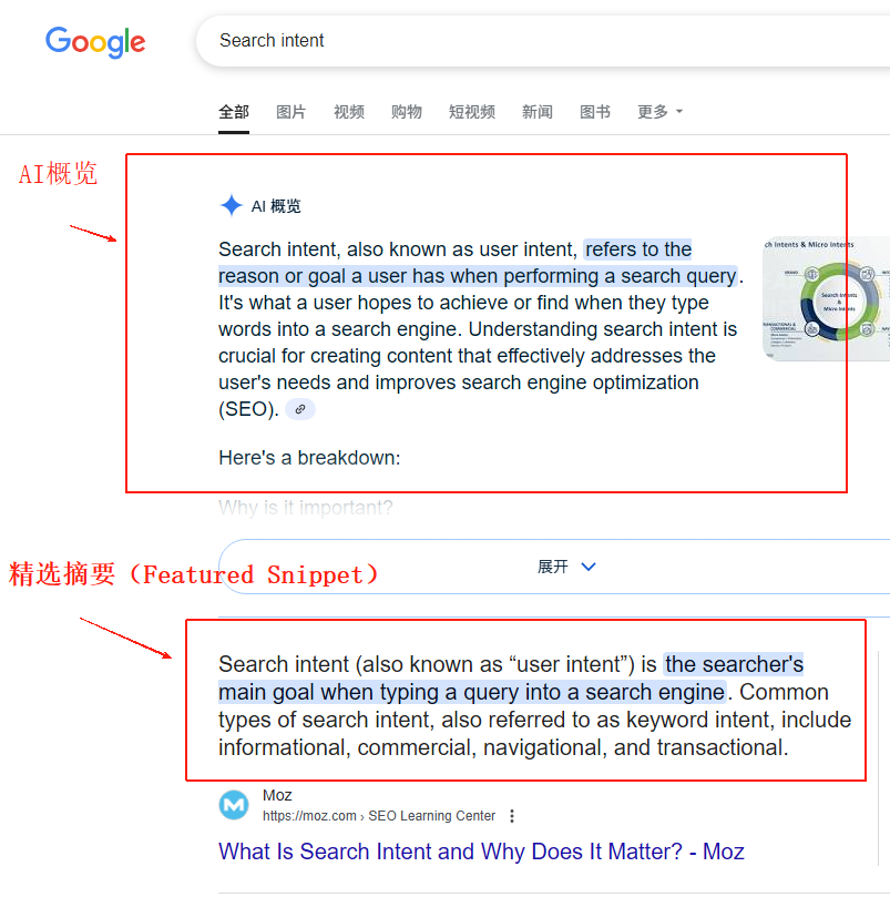 谷歌特色SERP元素-AI概览和精选摘要演示