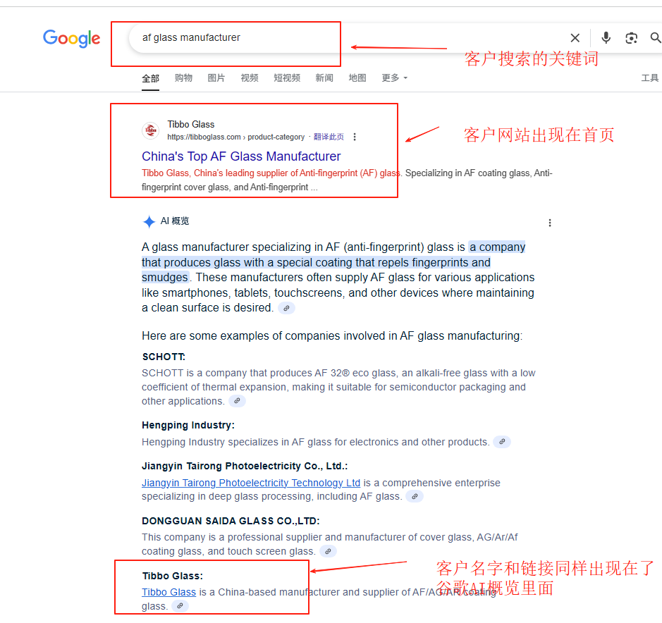 谷歌特色SERP元素中的AI概览应用来源演示
